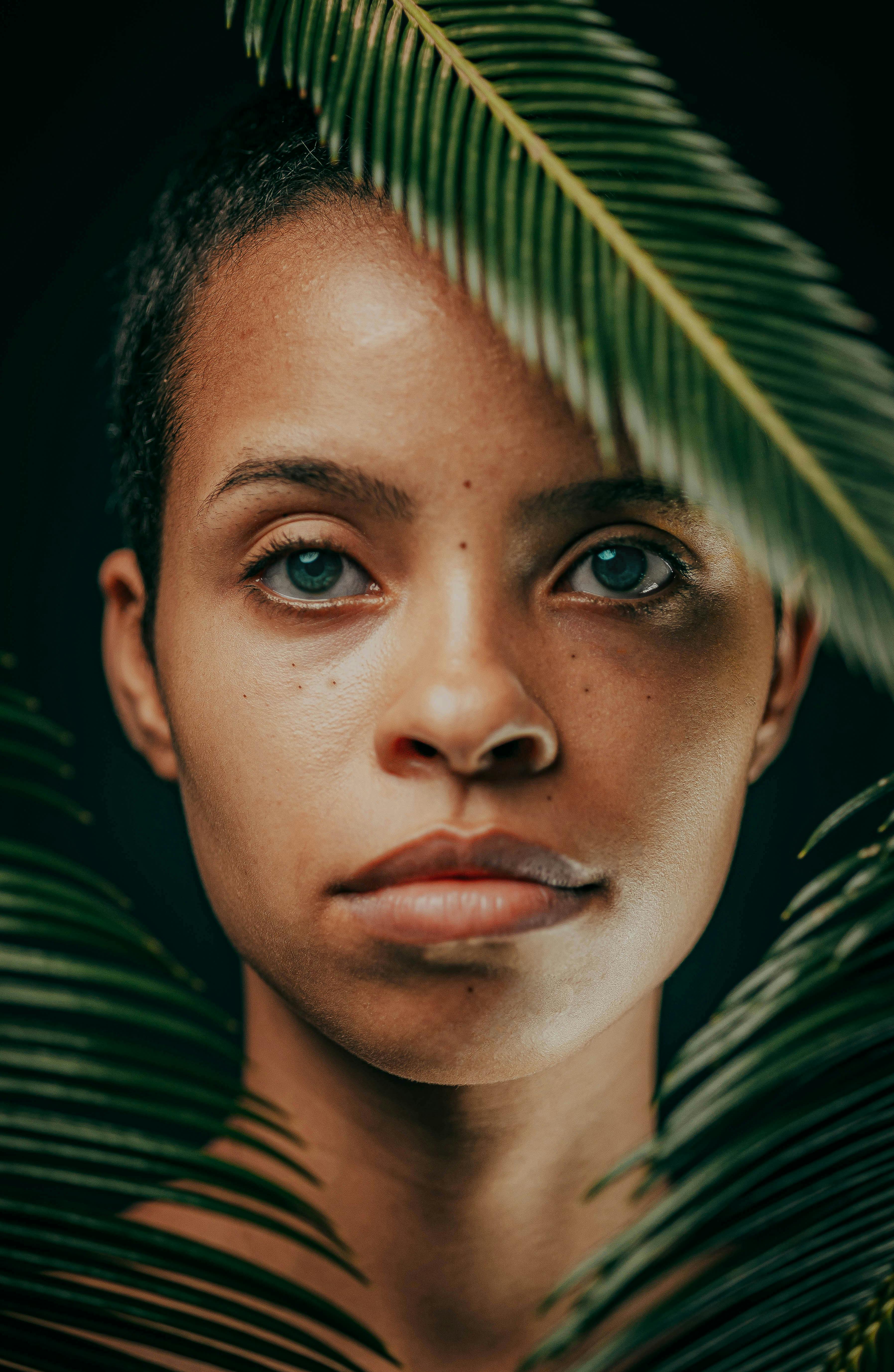 古装探案专题封面图